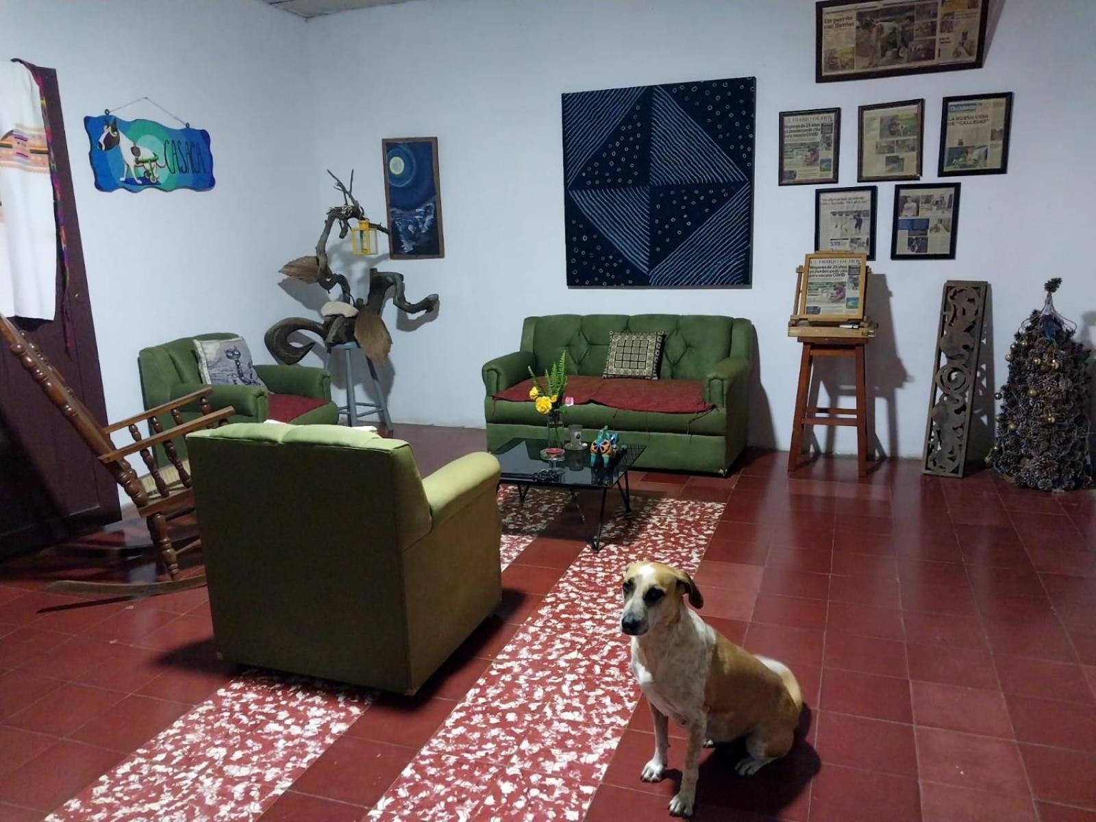 شقة Casaca Concepción de Ataco المظهر الخارجي الصورة